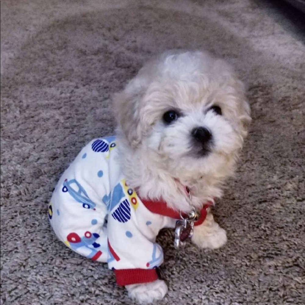 Meet your Posher, Marian